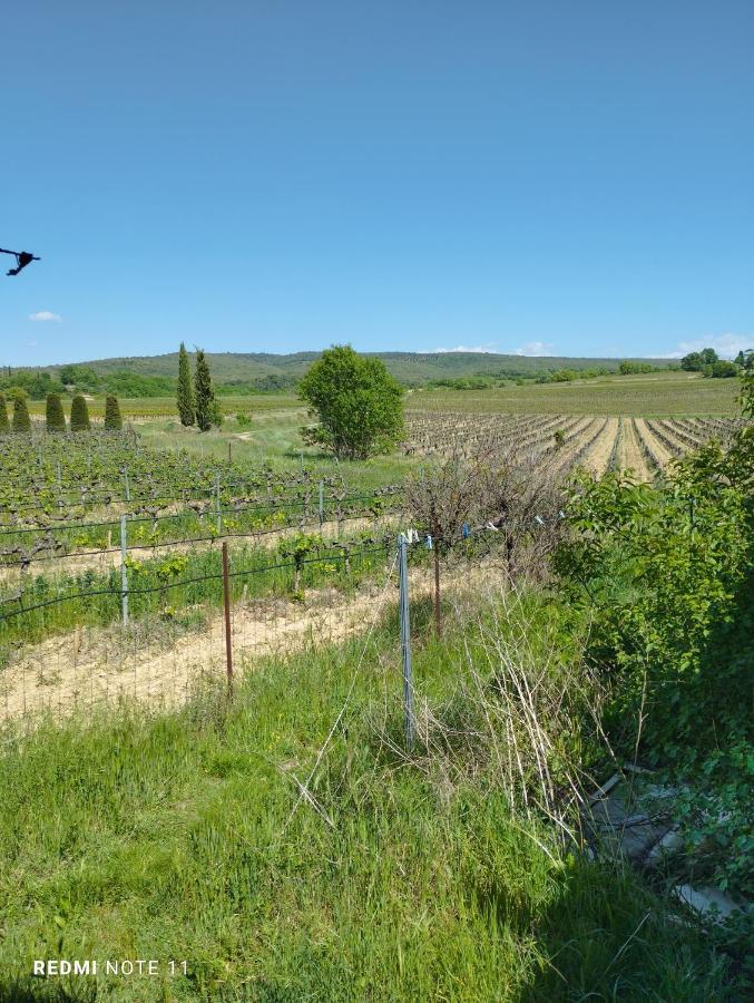 Chambre D Hotes En Provence, Au Pied Du Luberon, Les Coquelicots La Tour-dʼAigues 외부 사진