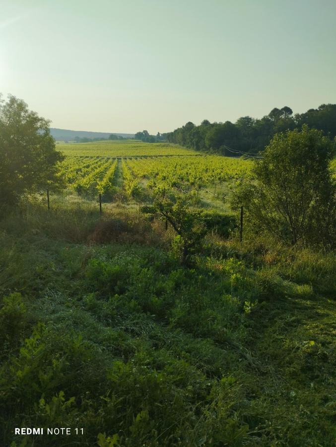 Chambre D Hotes En Provence, Au Pied Du Luberon, Les Coquelicots La Tour-dʼAigues 외부 사진